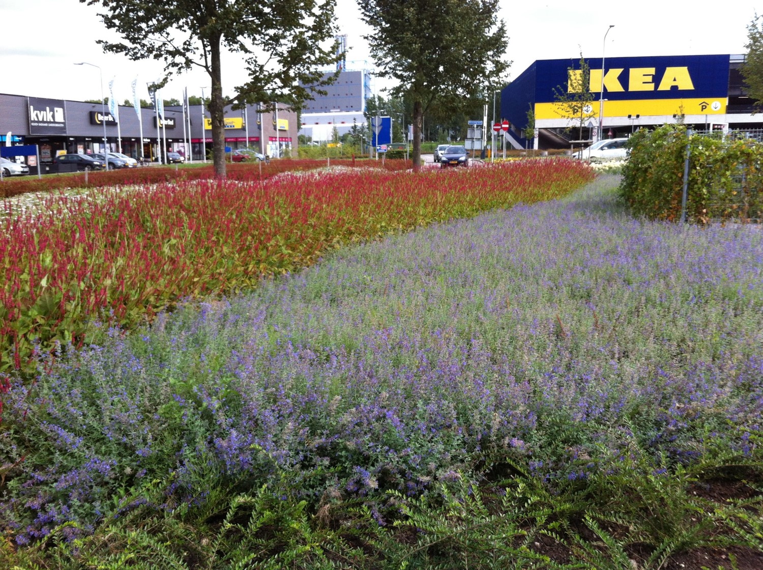 Lageschaar Vaste planten