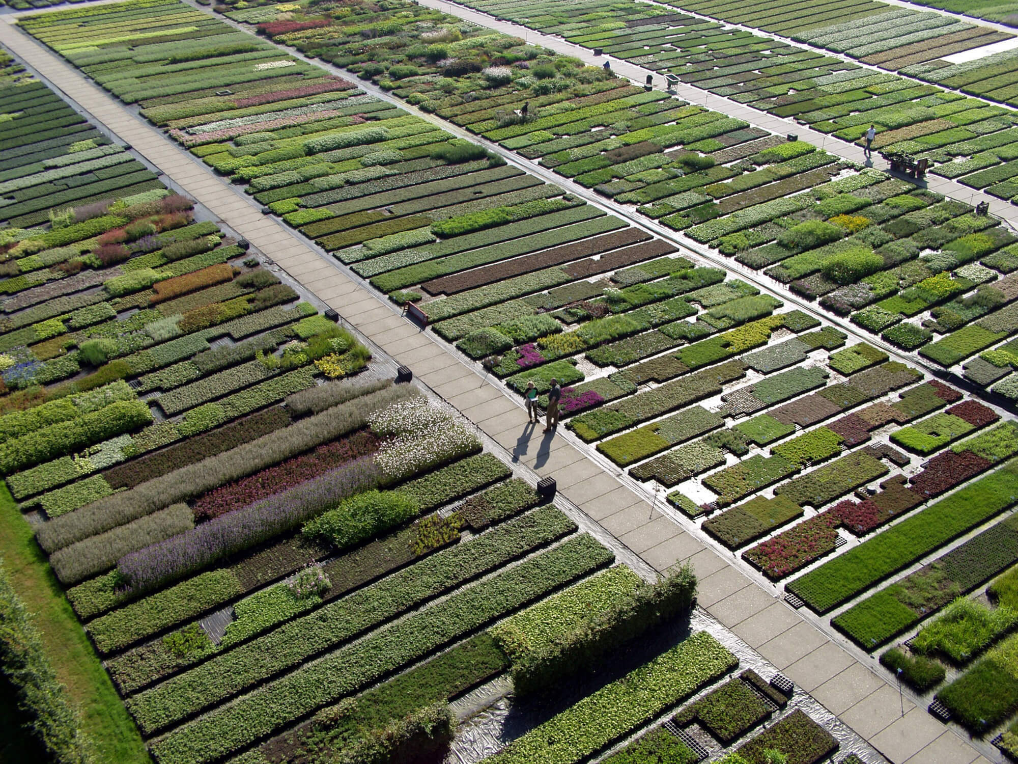 Lageschaar Vaste planten