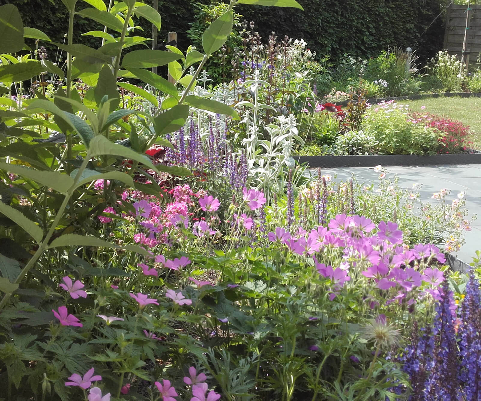 Lageschaar Vaste planten