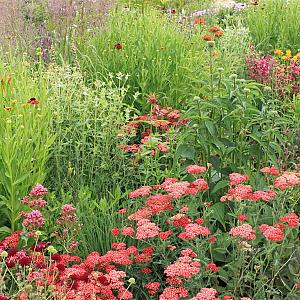 Copper Prairie Garden