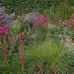 Jade Prairie Garden