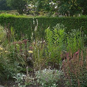 Pyrite Prairie Garden