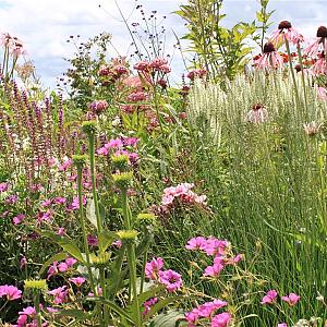 Quartz Prairie Garden