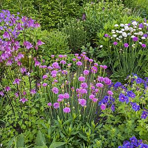 Spinel Prairie Garden