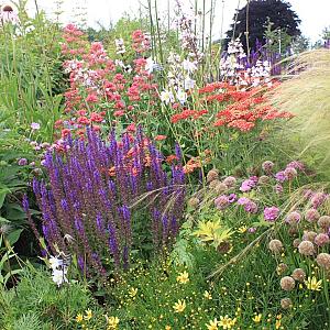 Tourmaline Prairie Garden