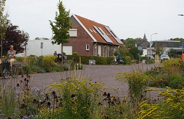 Prairie Garden op maat gemaakt voor klimaatadaptieve en groene herinrichting in Aalten