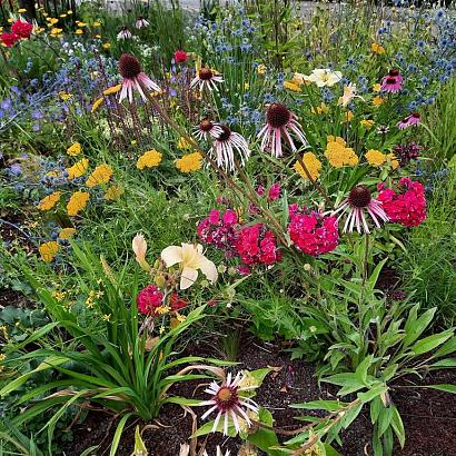 Agate Prairie Garden