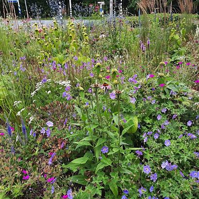 Agate Prairie Garden