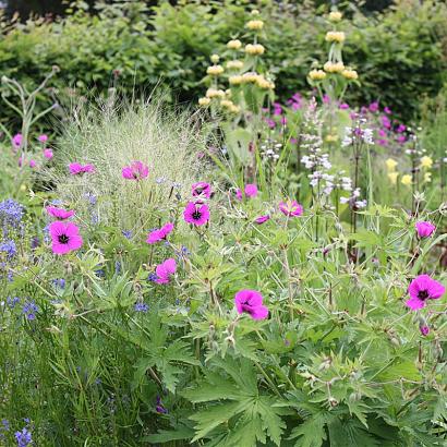 Agate Prairie Garden