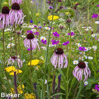 Agate Prairie Garden