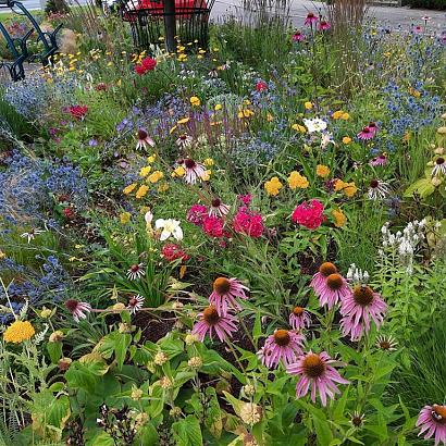 Agate Prairie Garden