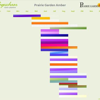 AmberPrairie Garden