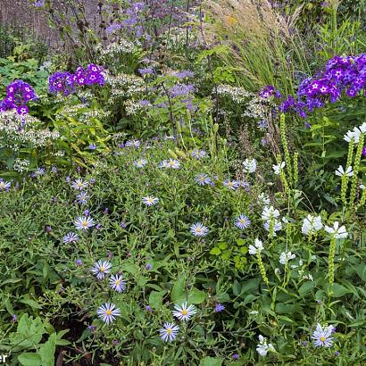 AmberPrairie Garden