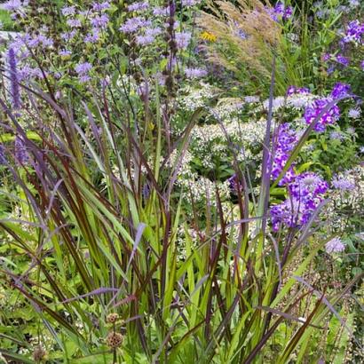 AmberPrairie Garden