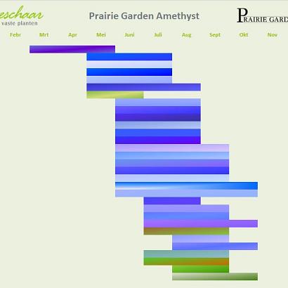 Amethyst Prairie Garden