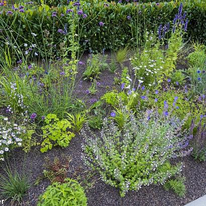 Amethyst Prairie Garden