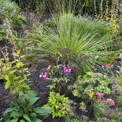 Aquamarine Prairie Garden