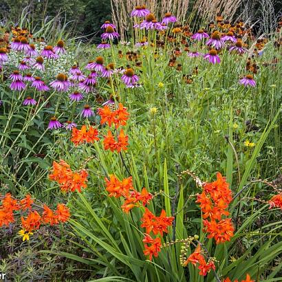 Copper Prairie Garden