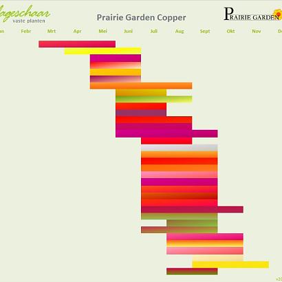 Copper Prairie Garden