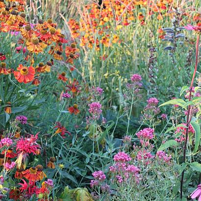 Copper Prairie Garden