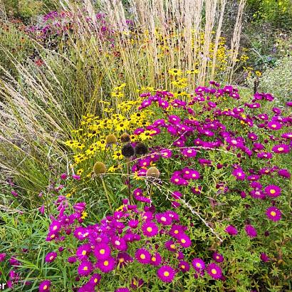 Copper Prairie Garden