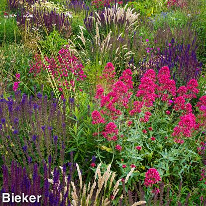 Coral Prairie Garden