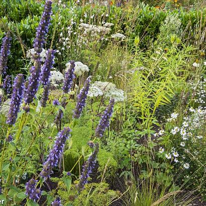 Crystal Prairie Garden