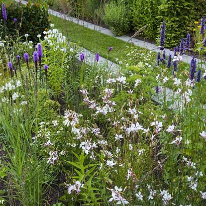 Crystal Prairie Garden