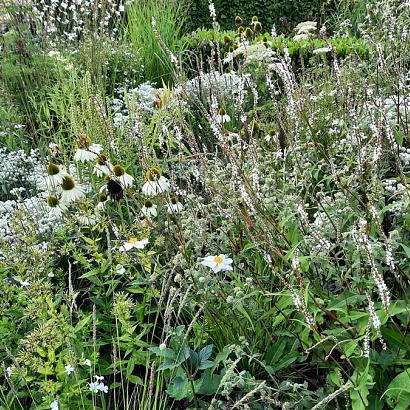 Crystal Prairie Garden