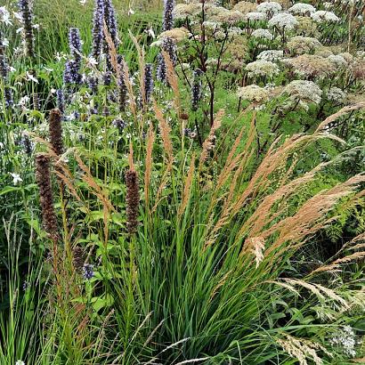 Crystal Prairie Garden