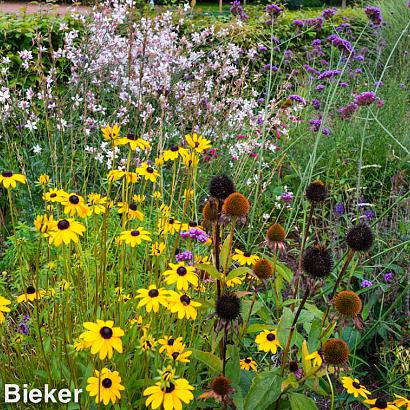 Diamond Prairie Garden