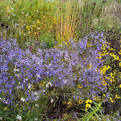 Diamond Prairie Garden