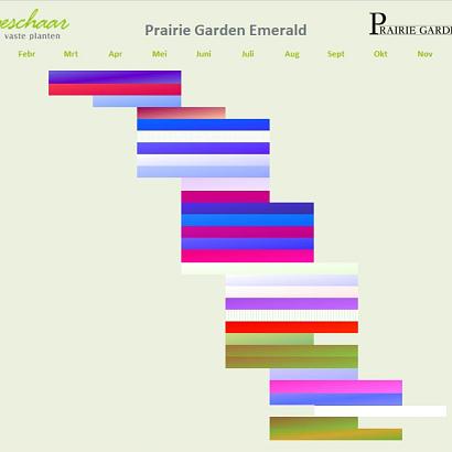 Emerald (Smaragd) Prairie Garden