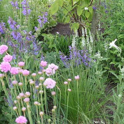 Emerald (Smaragd) Prairie Garden