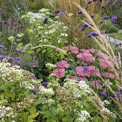 Fluorite Prairie Garden