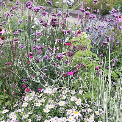 Fluorite Prairie Garden