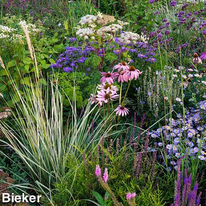 Fluorite Prairie Garden