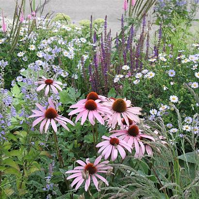 Fluorite Prairie Garden