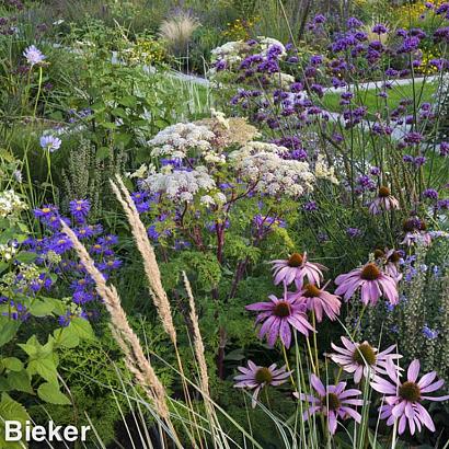 Fluorite Prairie Garden