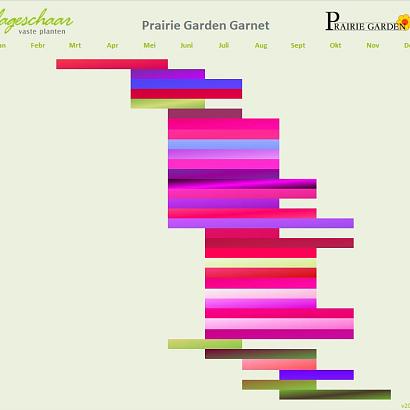 Garnet Prairie Garden