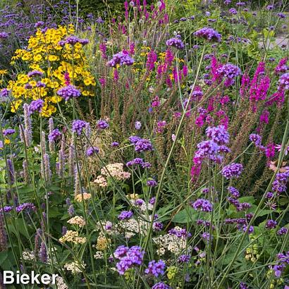 Gold Prairie Garden