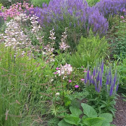 Jade Prairie Garden