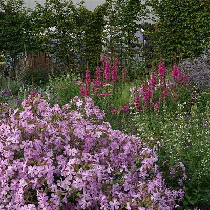 Jade Prairie Garden