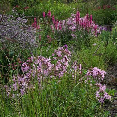 Jade Prairie Garden