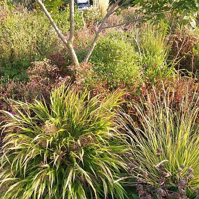 Onyx Prairie Garden