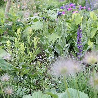 Onyx Prairie Garden