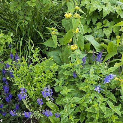 Onyx Prairie Garden