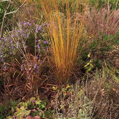 Onyx Prairie Garden