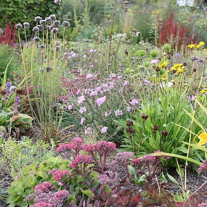 Opal Prairie Garden