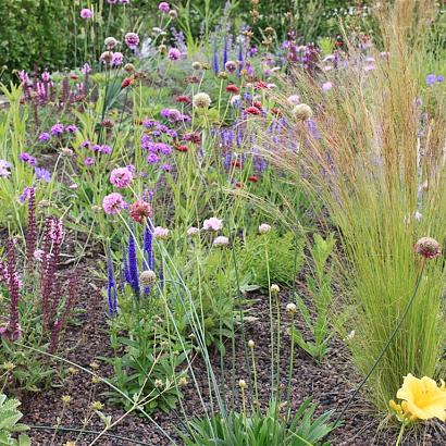 Opal Prairie Garden